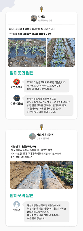 팜모닝님의 팜모닝공식 · 농사정보 작성글 사진