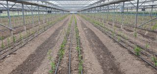 산딸기성관님의 작성글 사진