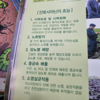 정대장님의 배추 · 일상 작성글 사진