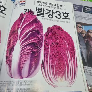 정대장님의 배추 · 일상 작성글 사진