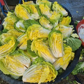 정대장님의 12월 내 작물 자랑하기 · 참여글 작성글 사진