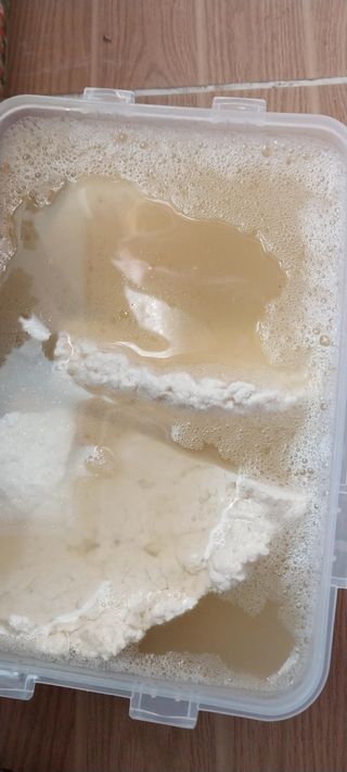 류남열님의 12월 내 작물 자랑하기 · 참여글 작성글 사진