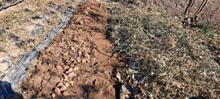 장준재님의 기타작물 · 자유게시판 작성글 사진