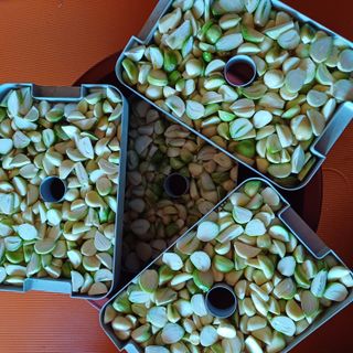 삼성농산님의 자유주제 · 자유게시판 작성글 사진