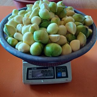 삼성농산님의 자유주제 · 자유게시판 작성글 사진