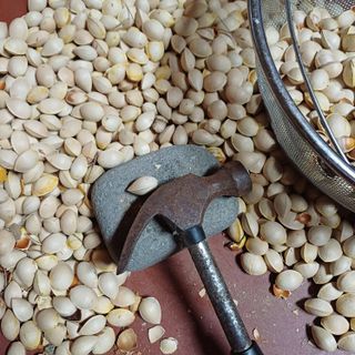 삼성농산님의 자유주제 · 자유게시판 작성글 사진