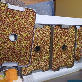 삼성농산님의 자유주제 · 자유게시판 작성글 사진