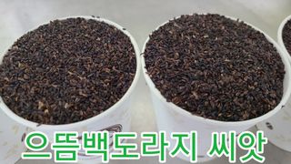 조병대님의 작성글 사진