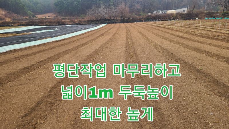 조병대님의 장터 판매 상품 [으뜸백도라지 씨앗 종이컵 ] 첨부 사진