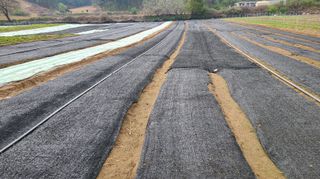 조병대님의 작성글 사진