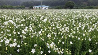 조병대님의 작성글 사진