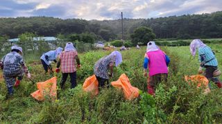 조병대님의 작성글 사진
