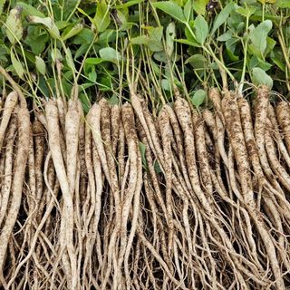 조병대님의 작성글 사진