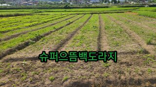 조병대님의 작성글 사진
