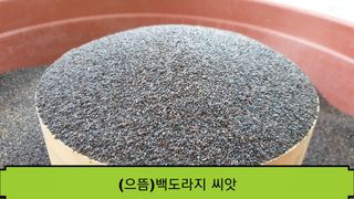 조병대님의 작성글 사진