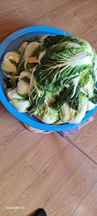 사천시향촌동 돼지띠님의 자유주제 · 자유게시판 작성글 사진