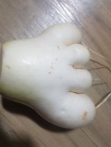 팜모닝 12월 내 작물 자랑하기·참여글 게시글 이미지