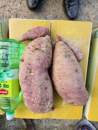 김기섭님의 12월 내 작물 자랑하기 · 참여글 작성글 사진