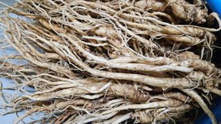 조병대님의 기타작물 · 자유게시판 작성글 사진