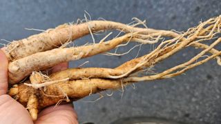 조병대님의 기타작물 · 자유게시판 작성글 사진