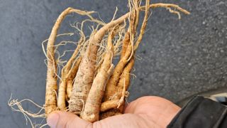 조병대님의 기타작물 · 자유게시판 작성글 사진