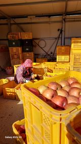 팜모닝 12월 내 작물 자랑하기·참여글 게시글 이미지