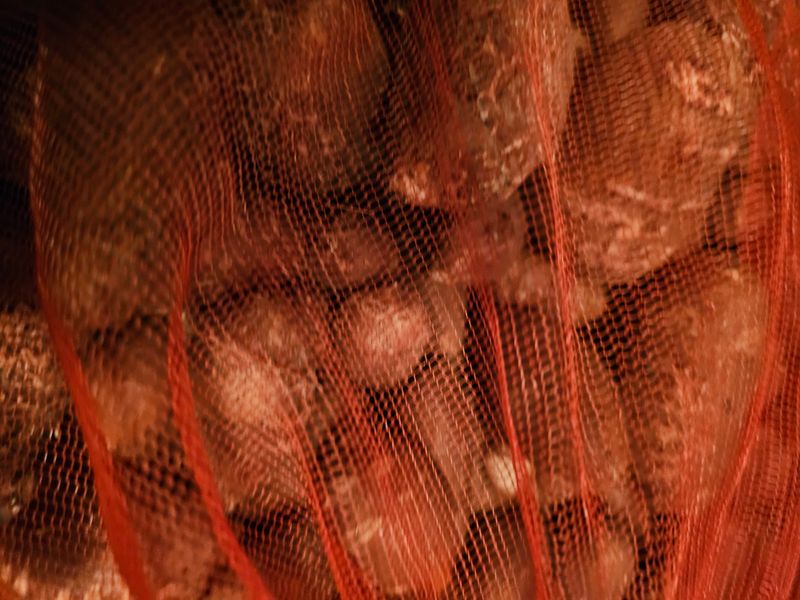 장터 상품 [아피오스 ㅡ인디언감자 1kg당] 썸네일