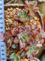 팜모닝 기타작물·자유게시판 게시글 이미지