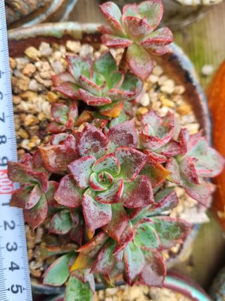 육이사랑님의 기타작물 · 자유게시판 작성글 사진