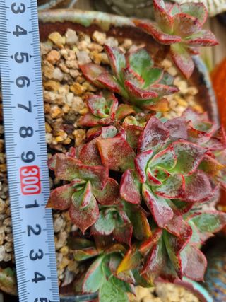 육이사랑님의 기타작물 · 자유게시판 작성글 사진