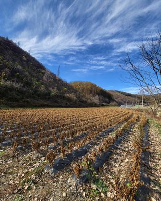 도울농장 이원용님의 자유주제 · 자유게시판 작성글 사진