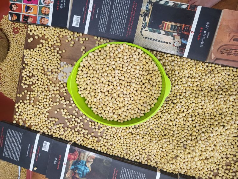 장터 상품 [백태 왕태 1kg(♥판매완료, 감사)] 썸네일