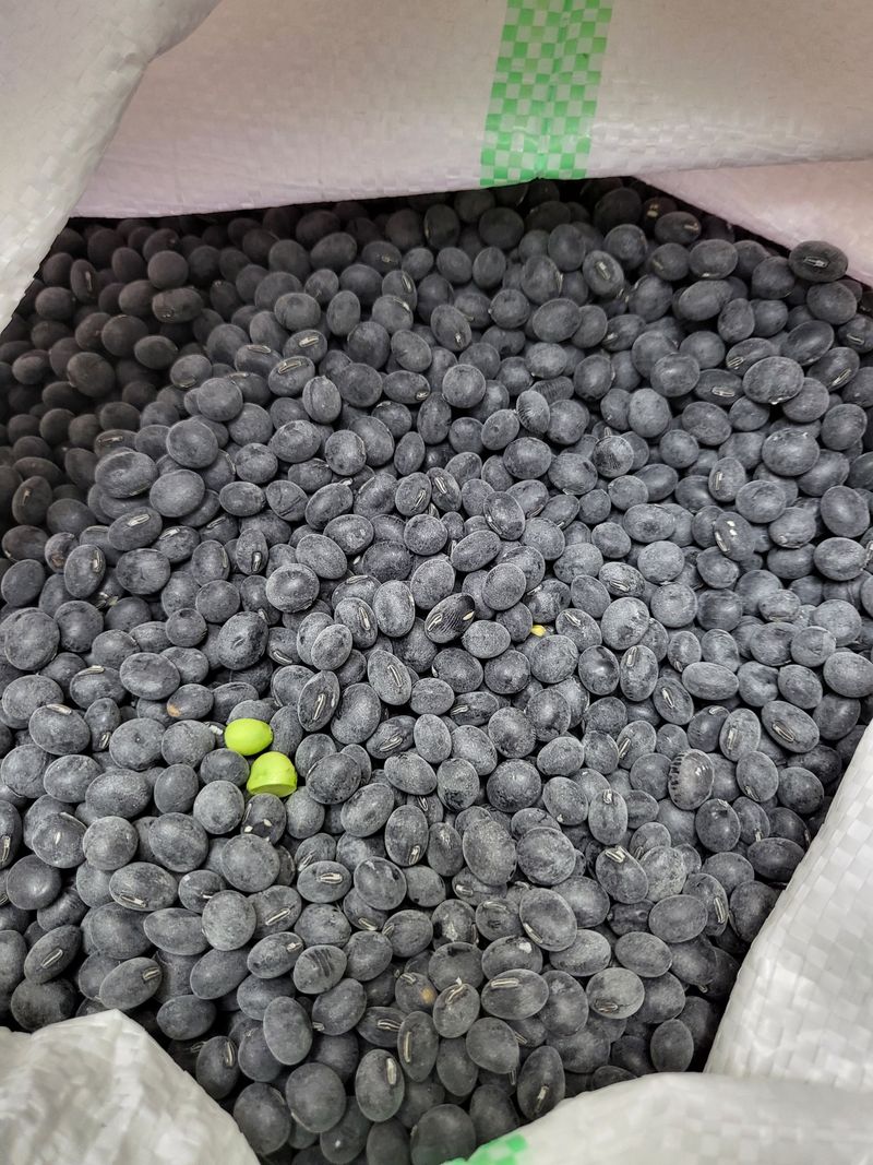 장터 상품 [(🎎판매완료, 감사) 서리태(새바람콩) 1kg] 썸네일