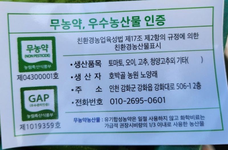 호박골농원 노양래님의 장터 판매 상품 [자색 돼지감자 5kg] 첨부 사진