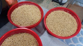 김분남 님의 12월 내 작물 자랑하기 · 참여글 작성글 사진