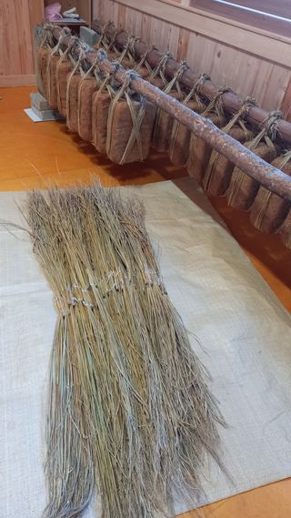 김분남 님의 12월 내 작물 자랑하기 · 참여글 작성글 사진