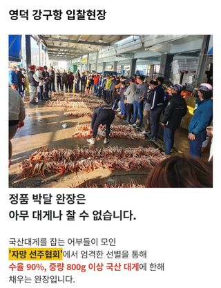 노가네수산님의 우리동네 · 동네정보 작성글 사진