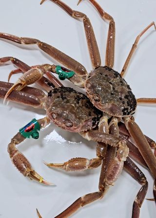 노가네수산님의 우리동네 · 동네정보 작성글 사진