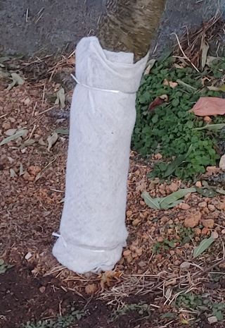 달맛햇복숭아농원님의 복숭아 · 자유게시판 작성글 사진