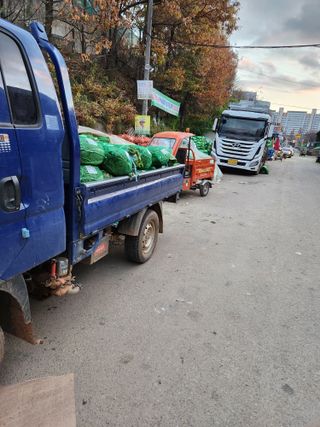 김저팔계님의 배추 · 영농일지 작성글 사진