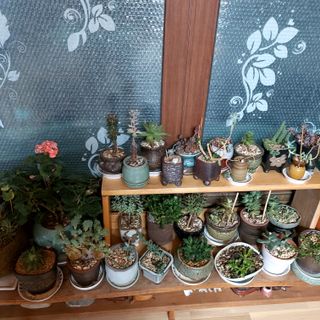 권세민님의 매일매일 농사공부 · 자유게시판 작성글 사진