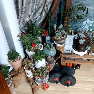 권세민님의 매일매일 농사공부 · 자유게시판 작성글 사진