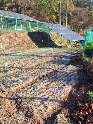 정자형님의 12월 내 작물 자랑하기 · 참여글 작성글 사진