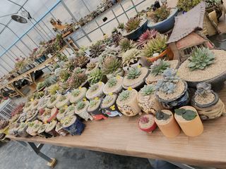 이연옥님의 농사, 무엇이든 물어보세요! · 참여글 작성글 사진