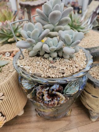 이연옥님의 12월 내 작물 자랑하기 · 참여글 작성글 사진