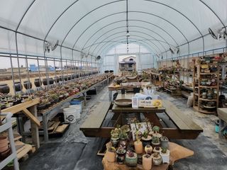 이연옥님의 12월 내 작물 자랑하기 · 참여글 작성글 사진