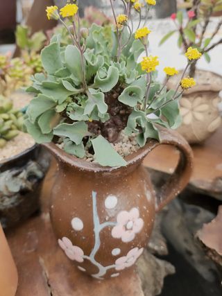 이연옥님의 12월 내 작물 자랑하기 · 참여글 작성글 사진