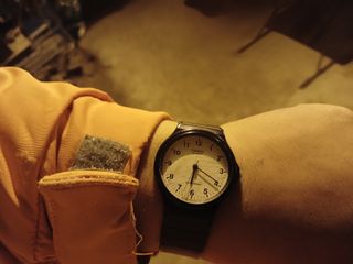 알 수 없음님의 자유주제 · 자유게시판 작성글 사진