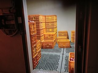 알 수 없음님의 자유주제 · 자유게시판 작성글 사진