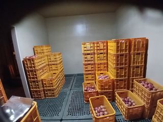 알 수 없음님의 자유주제 · 자유게시판 작성글 사진